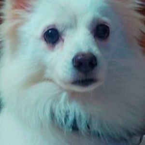 Meet your Posher, Sangeetha